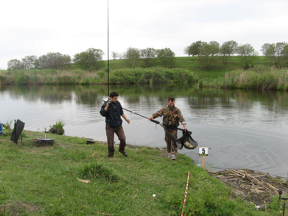 chiroiu 4 - 993491583880054998417399474411n.jpg